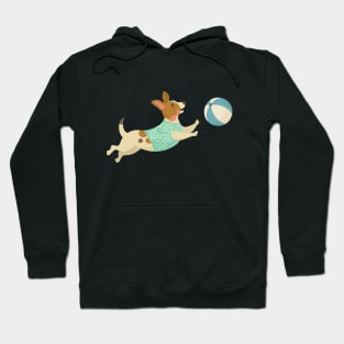 teddy roosevelt terrier dog enjoying Hoodie